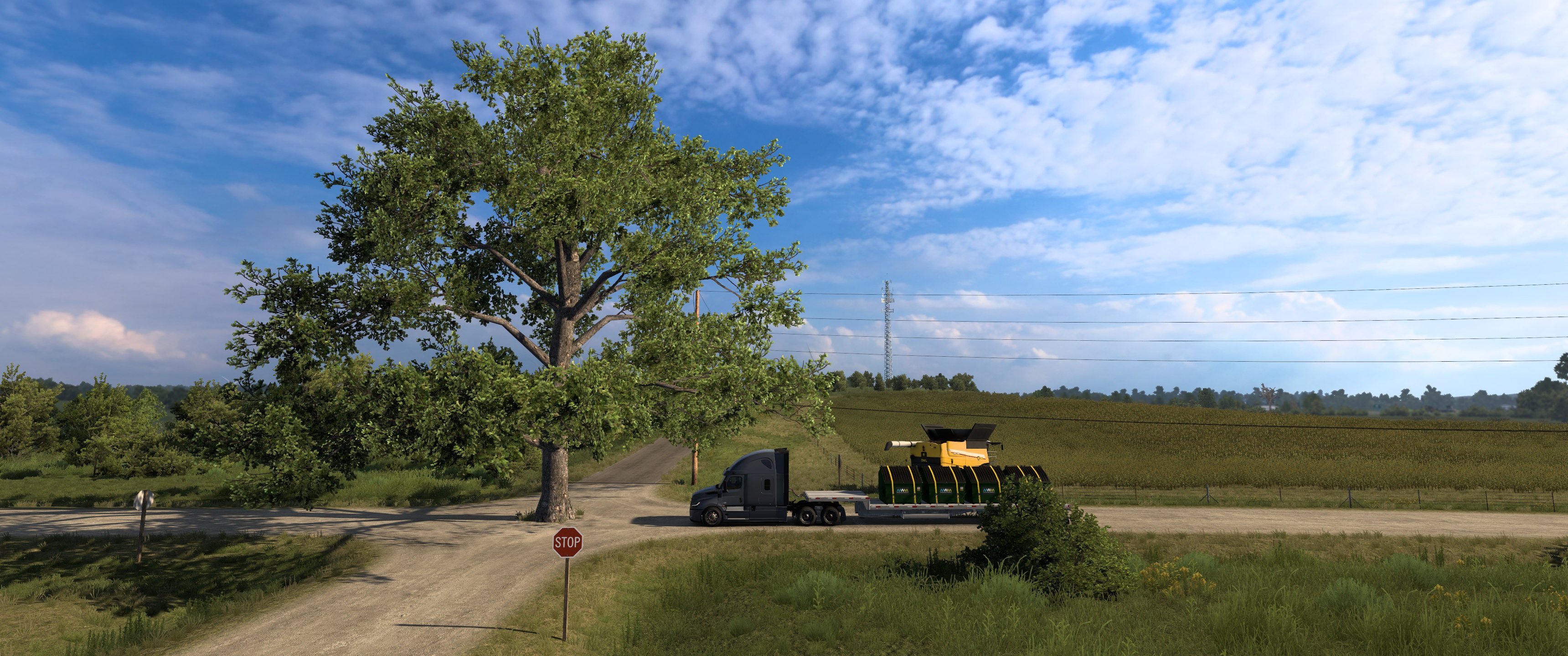 Image by Rob_Stewart