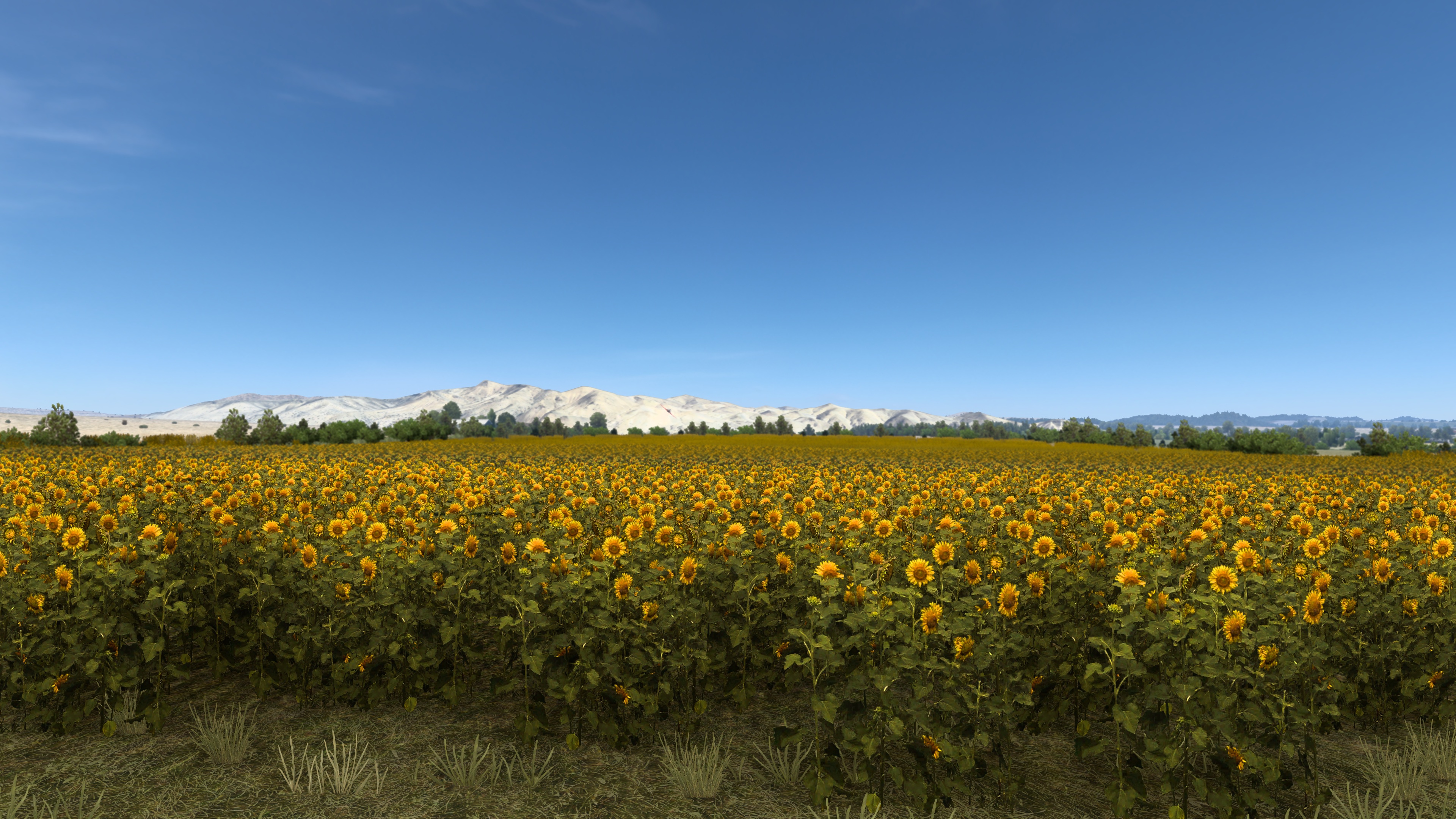 Image by Ryan_Jenkins