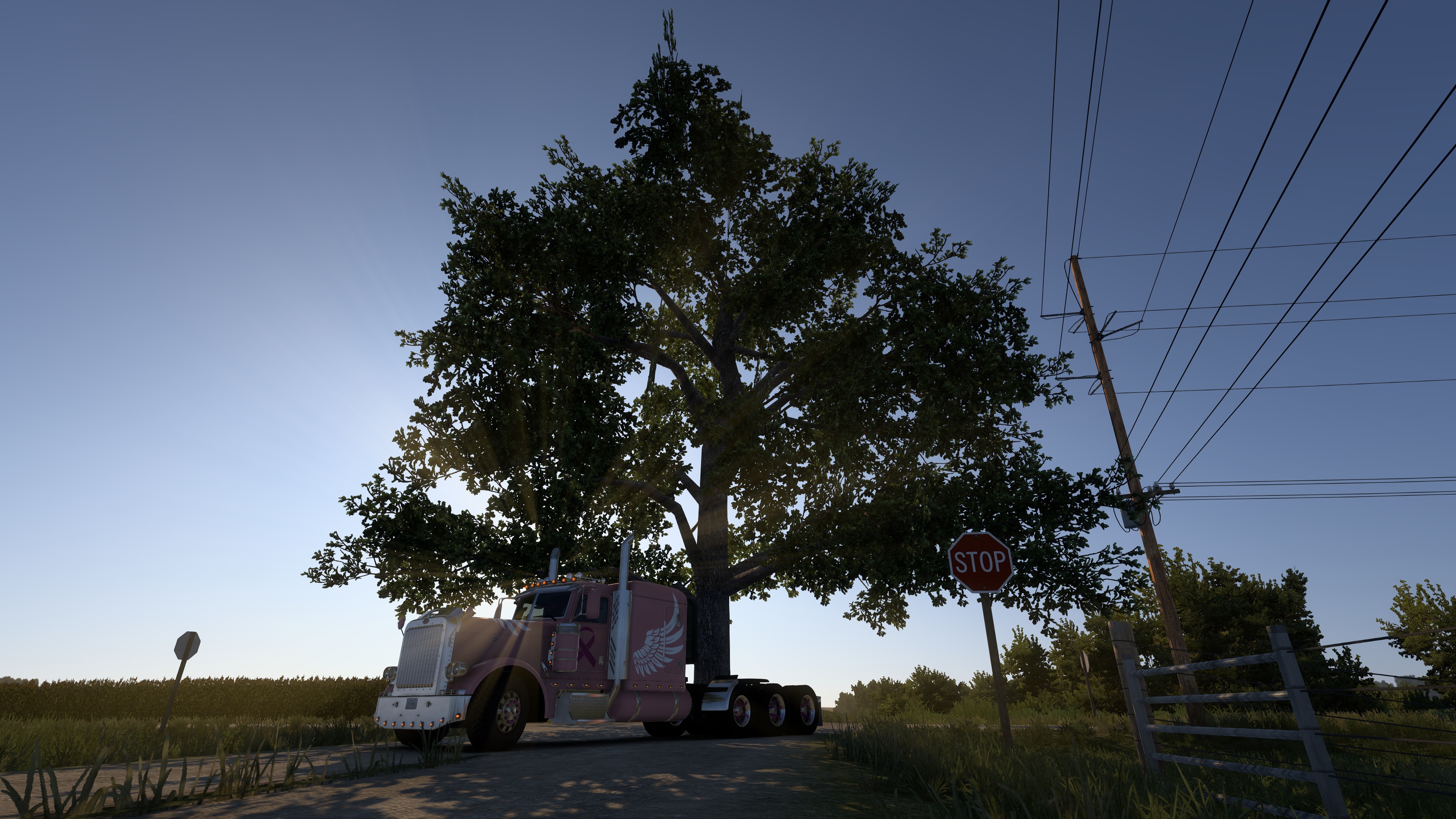 Image by mauriethegoose