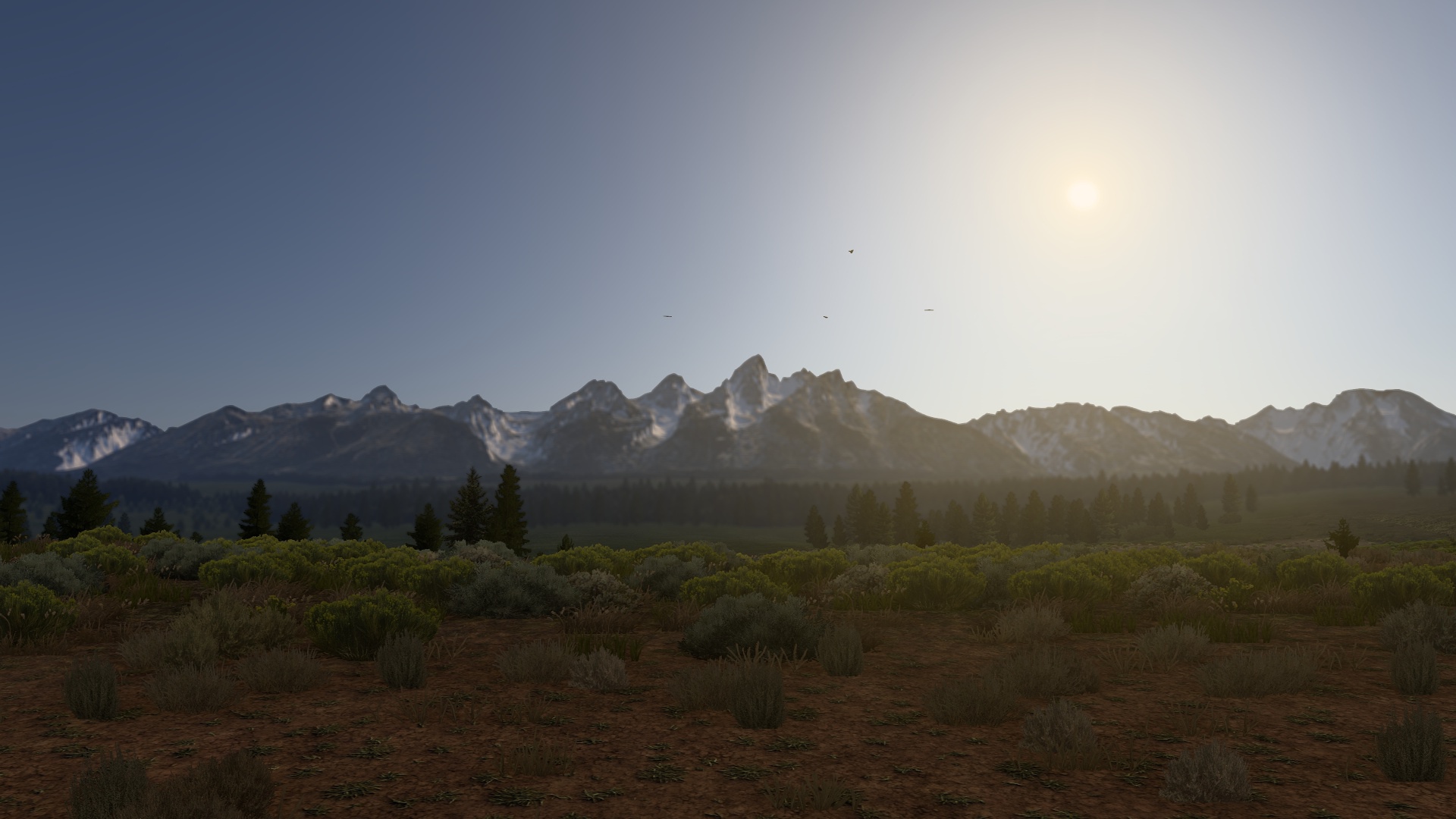 Image by fosterramman