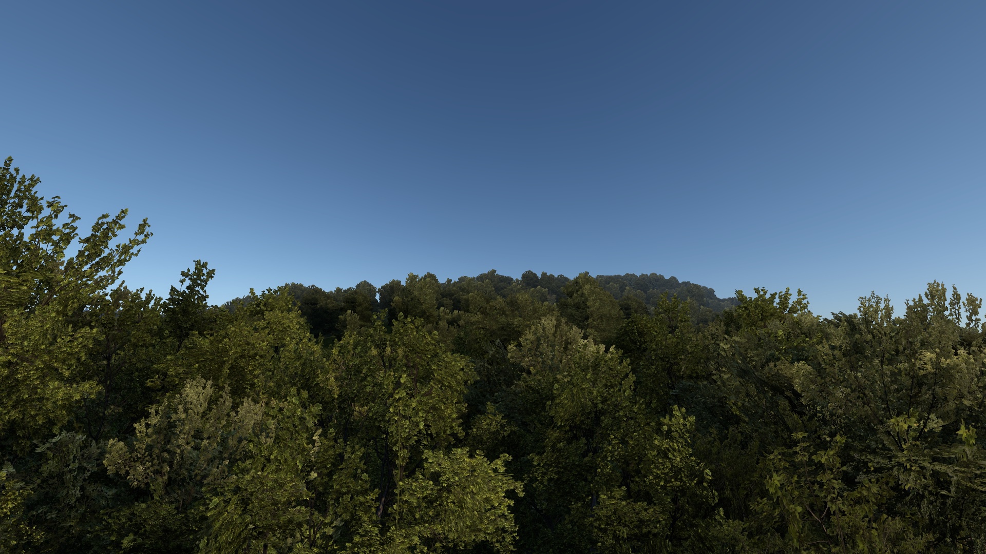 Image by TheodorosG