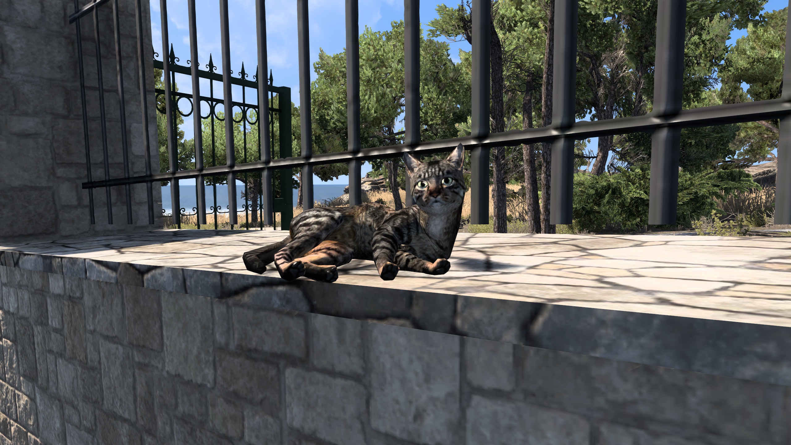 Image by Schafter14001