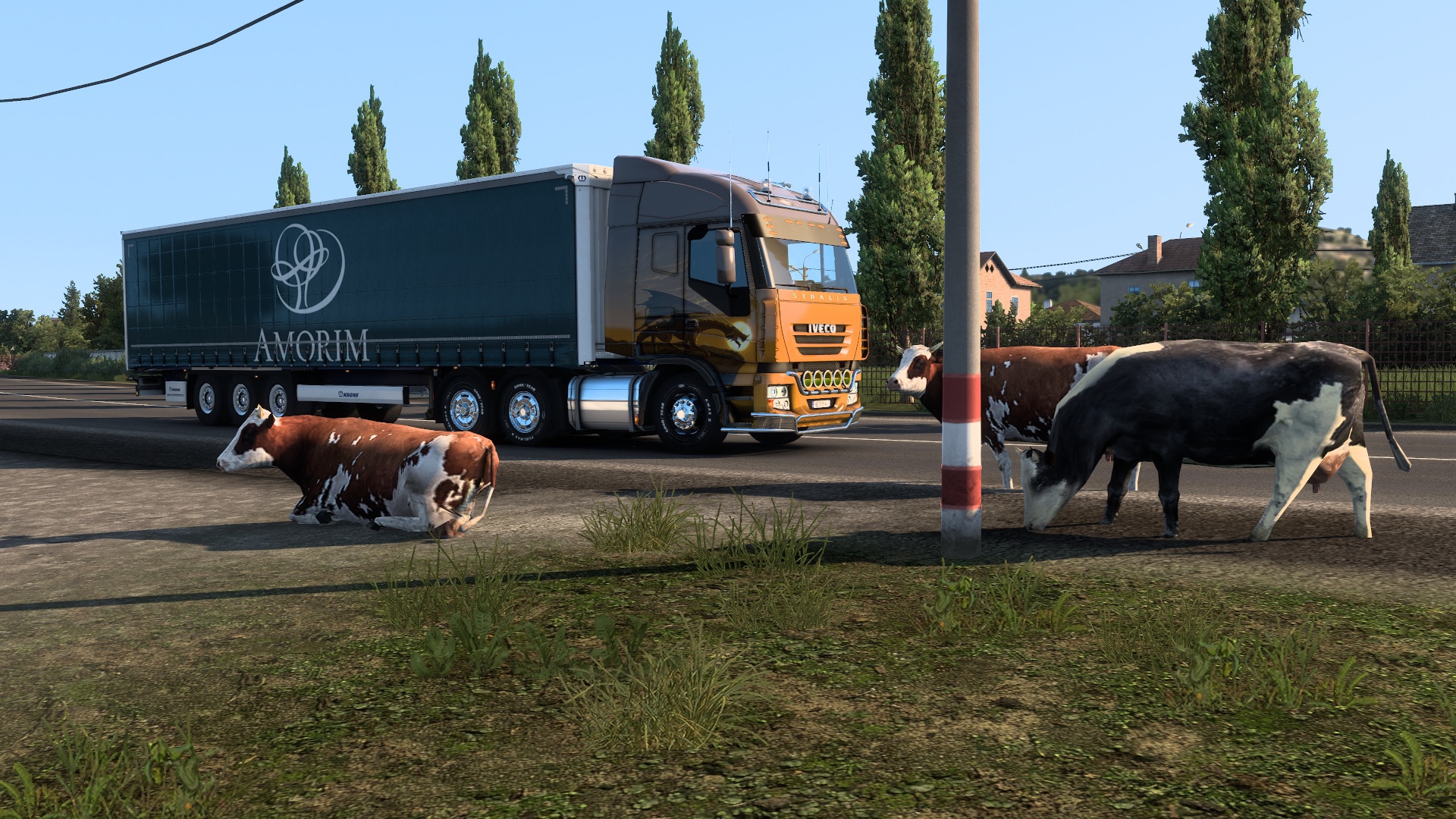 Image by 3bubblesoff