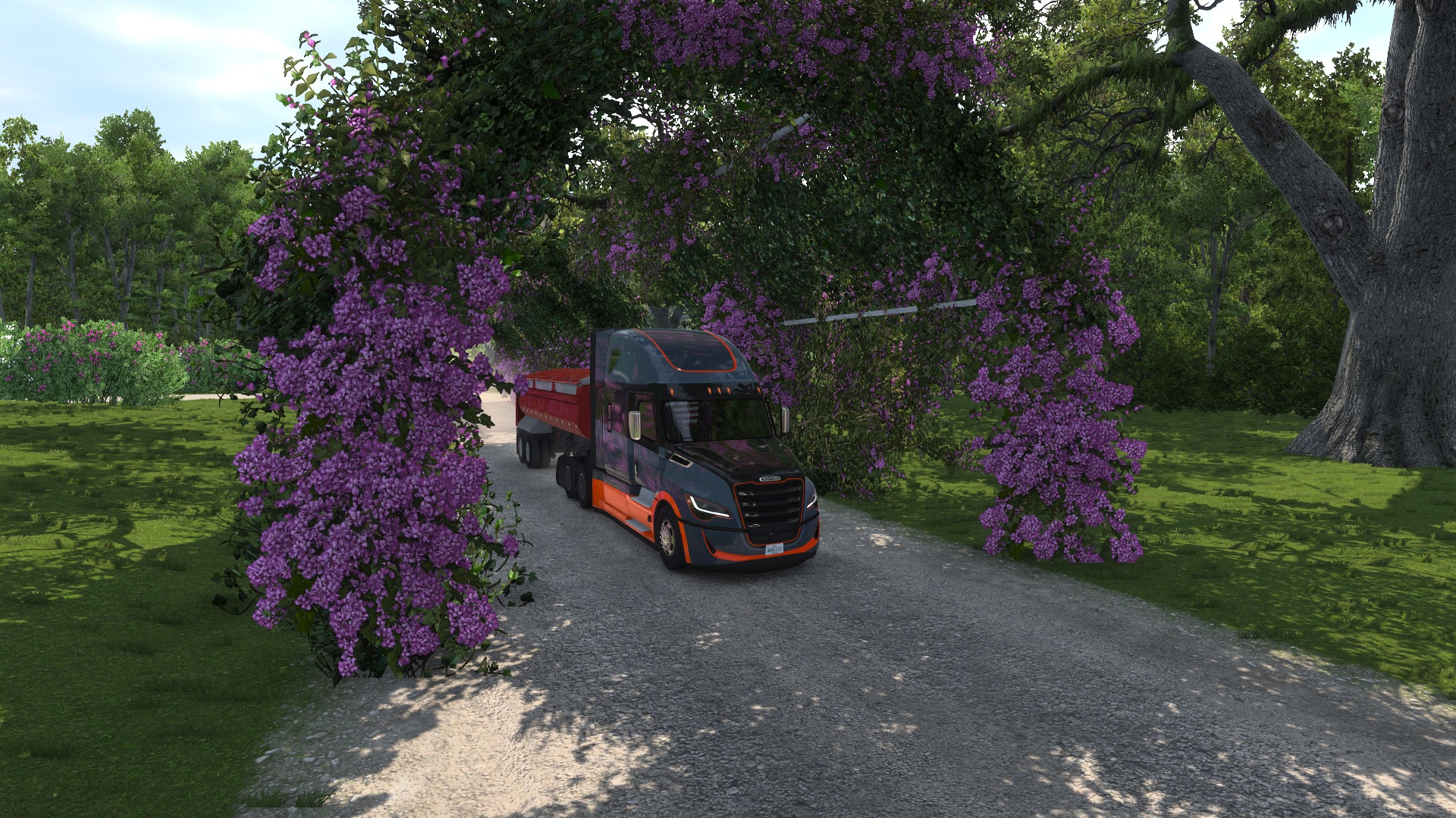 Image by Marcello_Costa