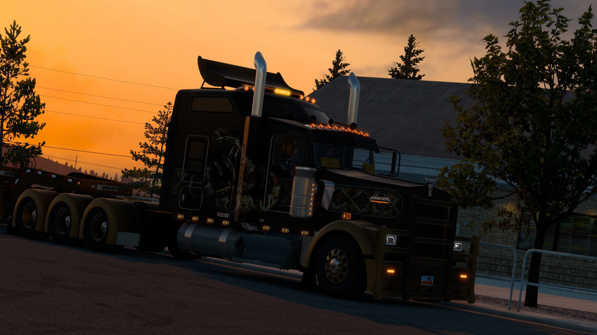 Image by Dr_Kmfresser