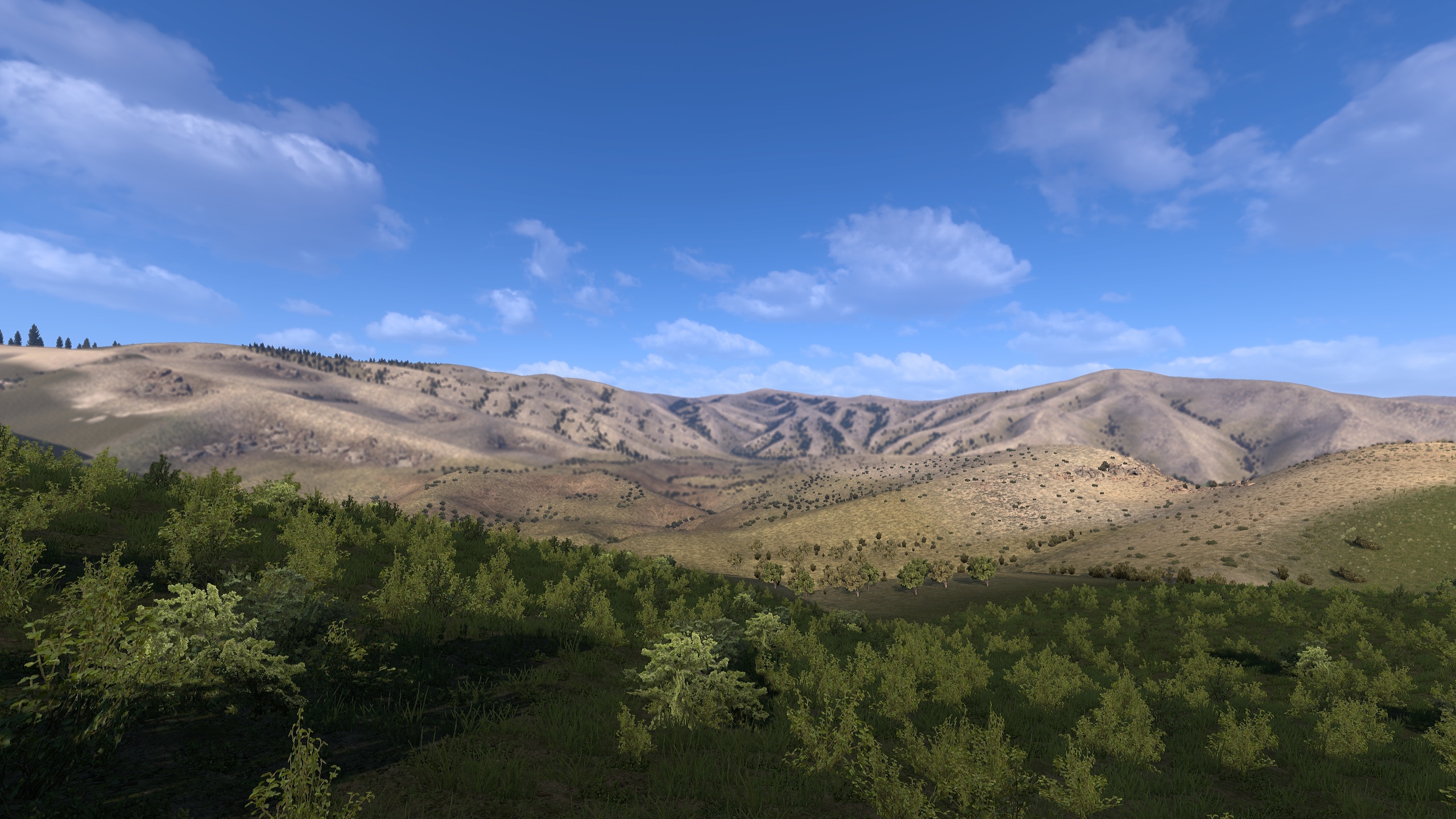 Image by Schrodingeruck