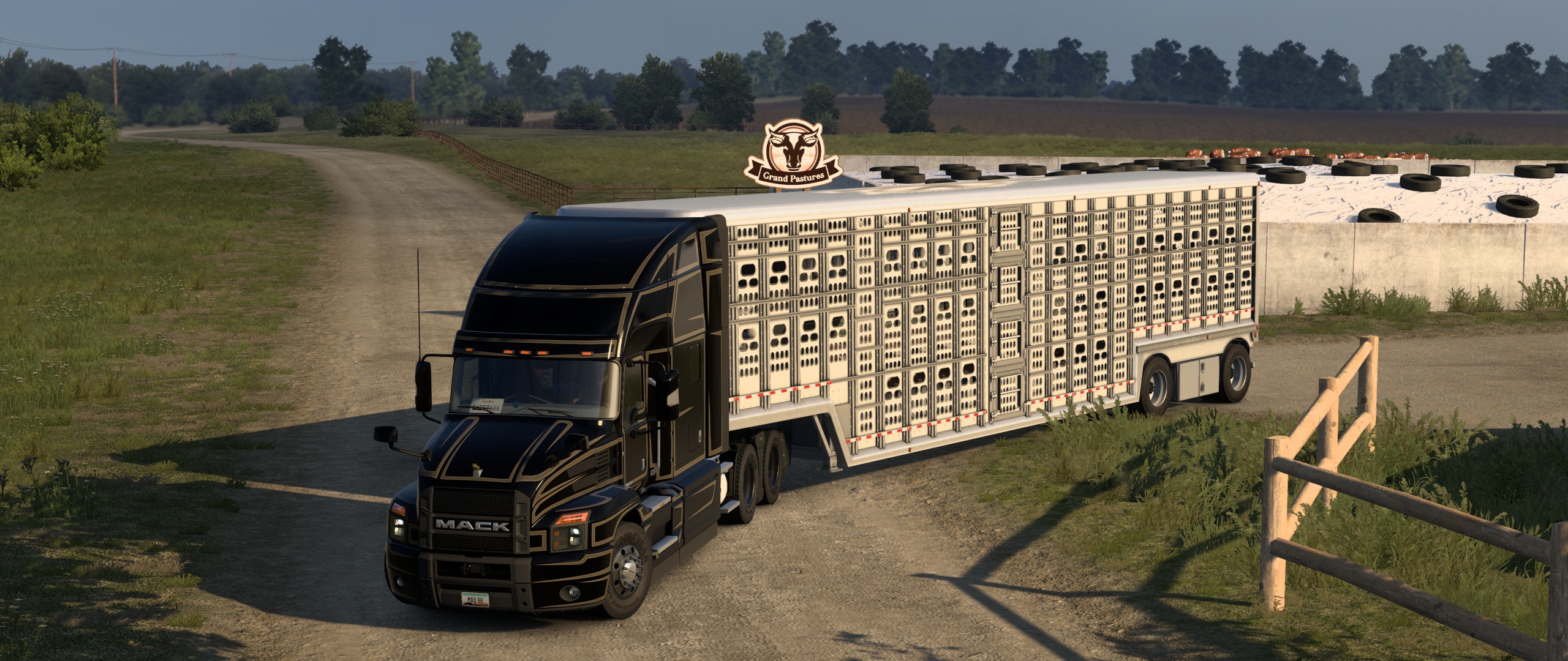 Image by madrugagato