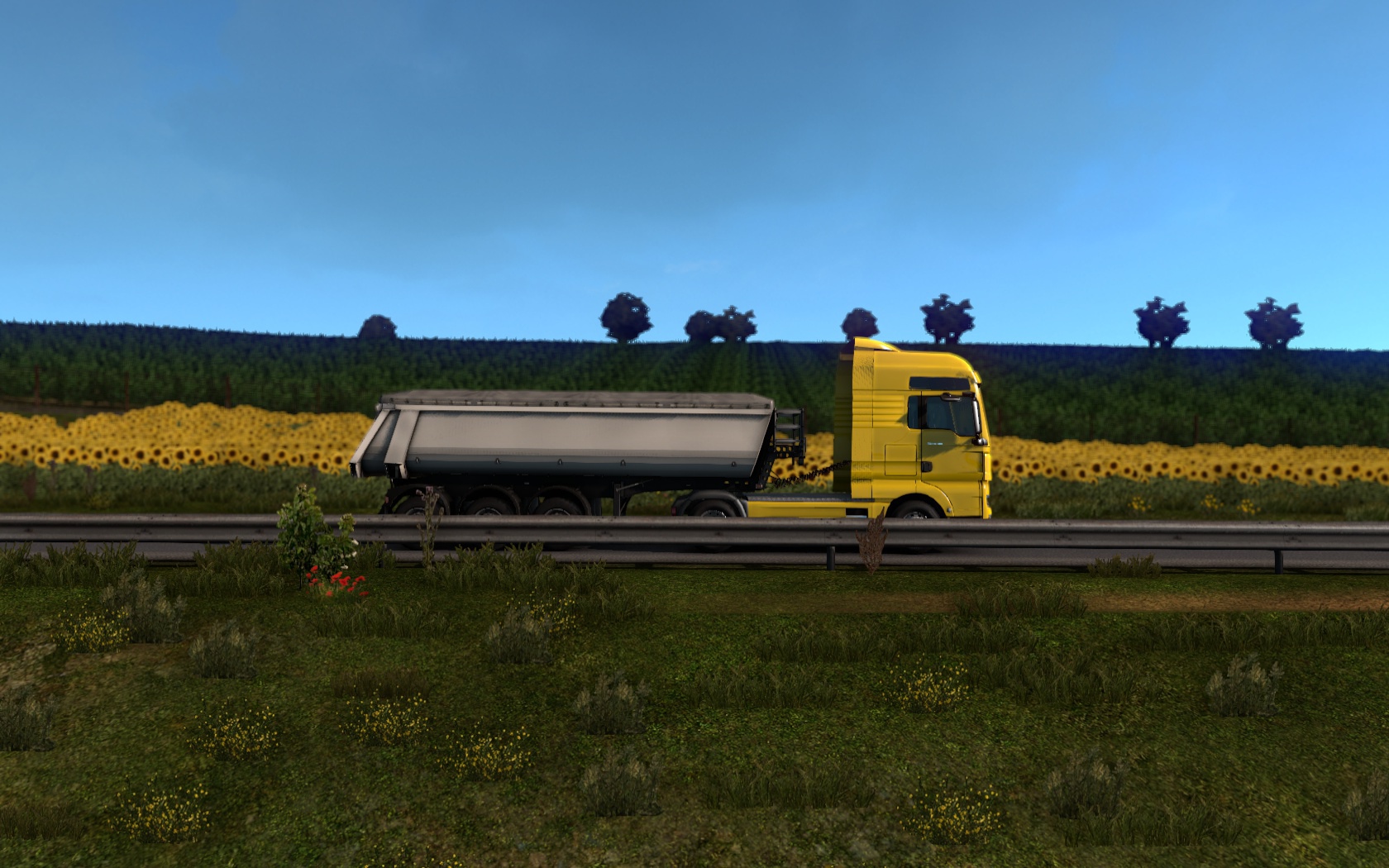 Image by ErwinToretto