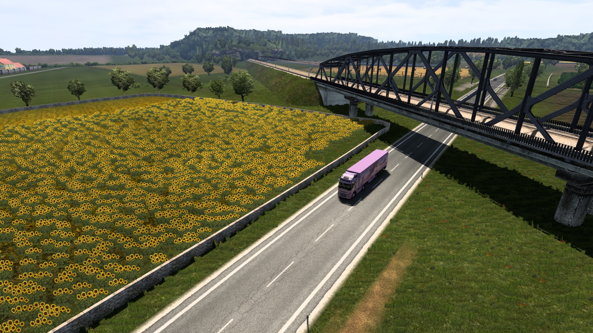 Image by market_market