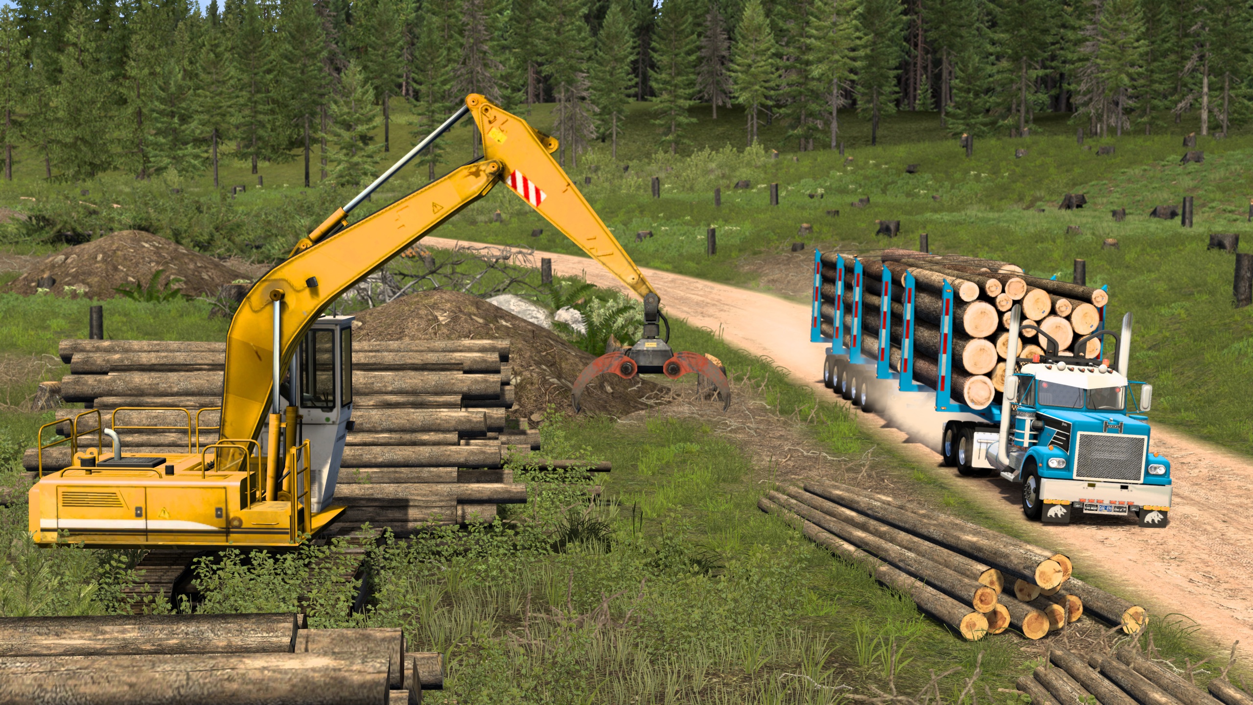 Image by Bearded_Bushman