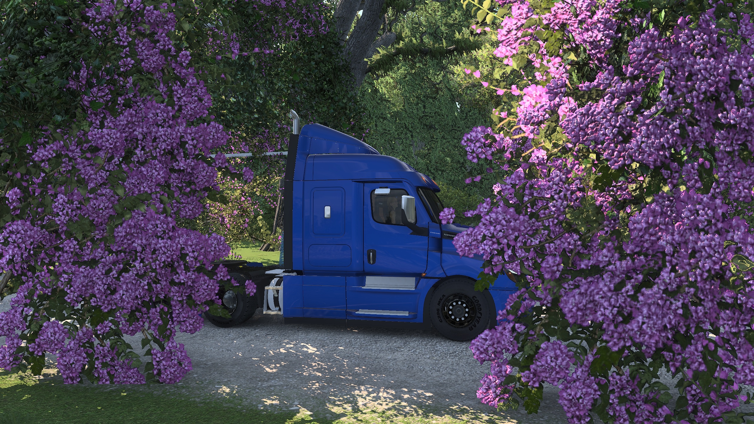 Image by UG111N