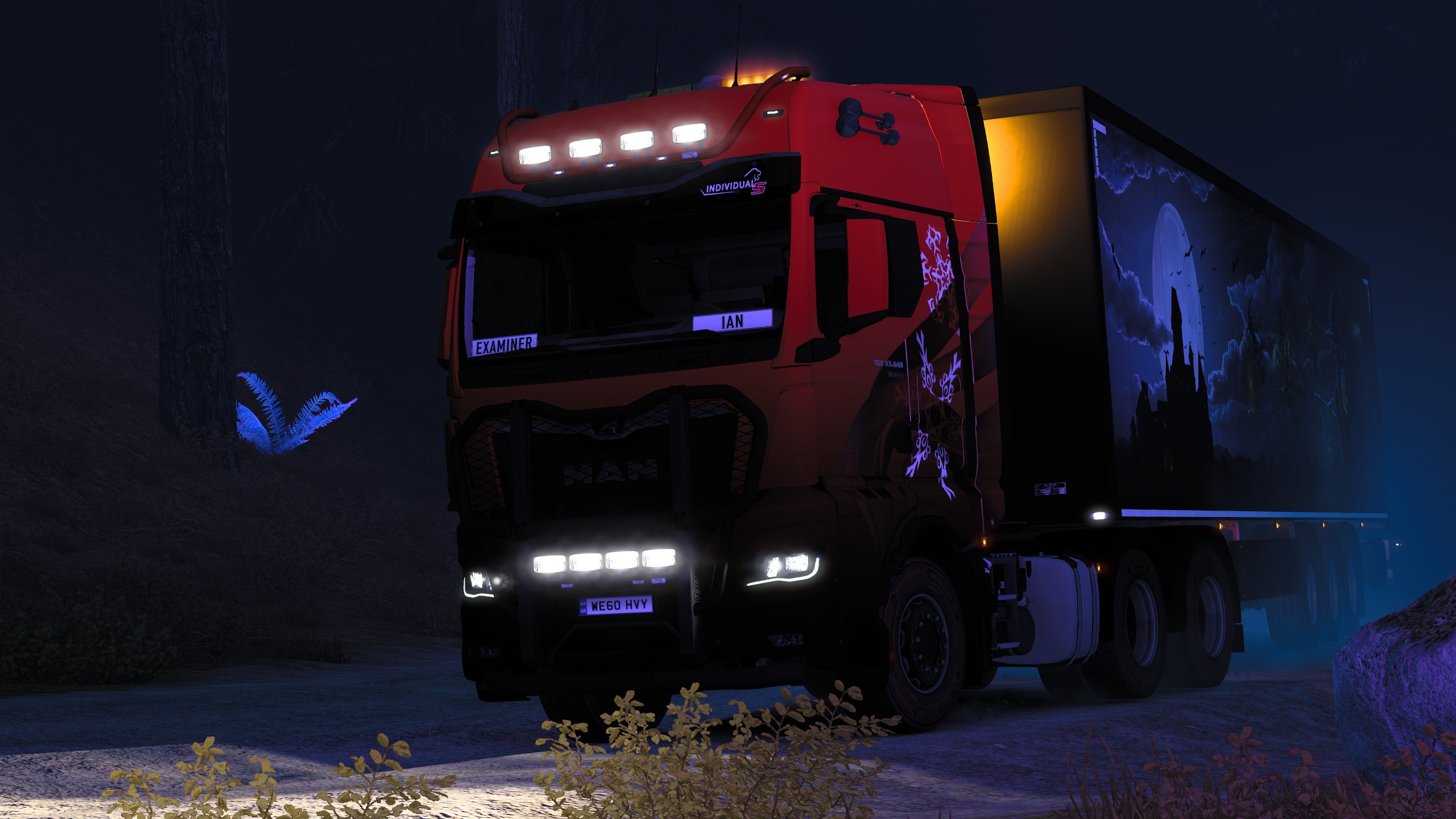 Image by ExaminerIan