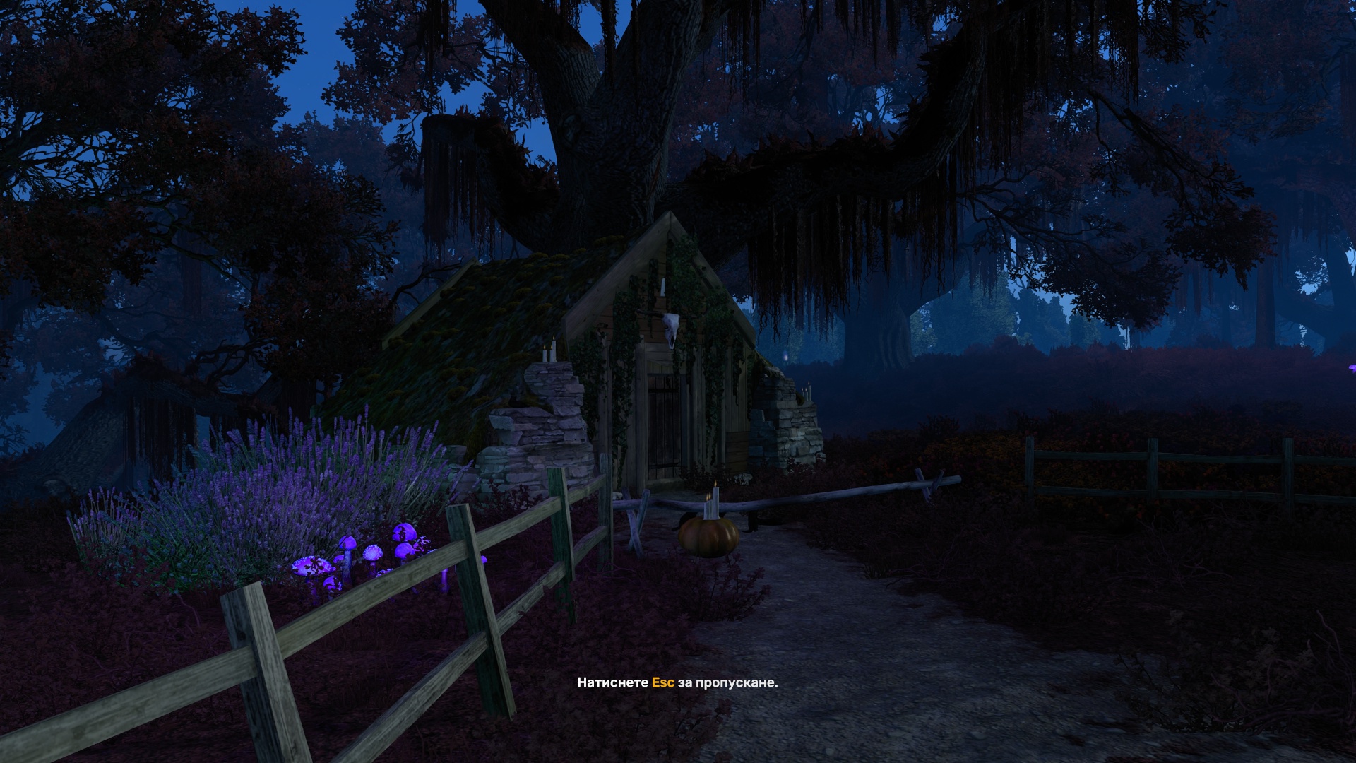 Image by KingOfHell1