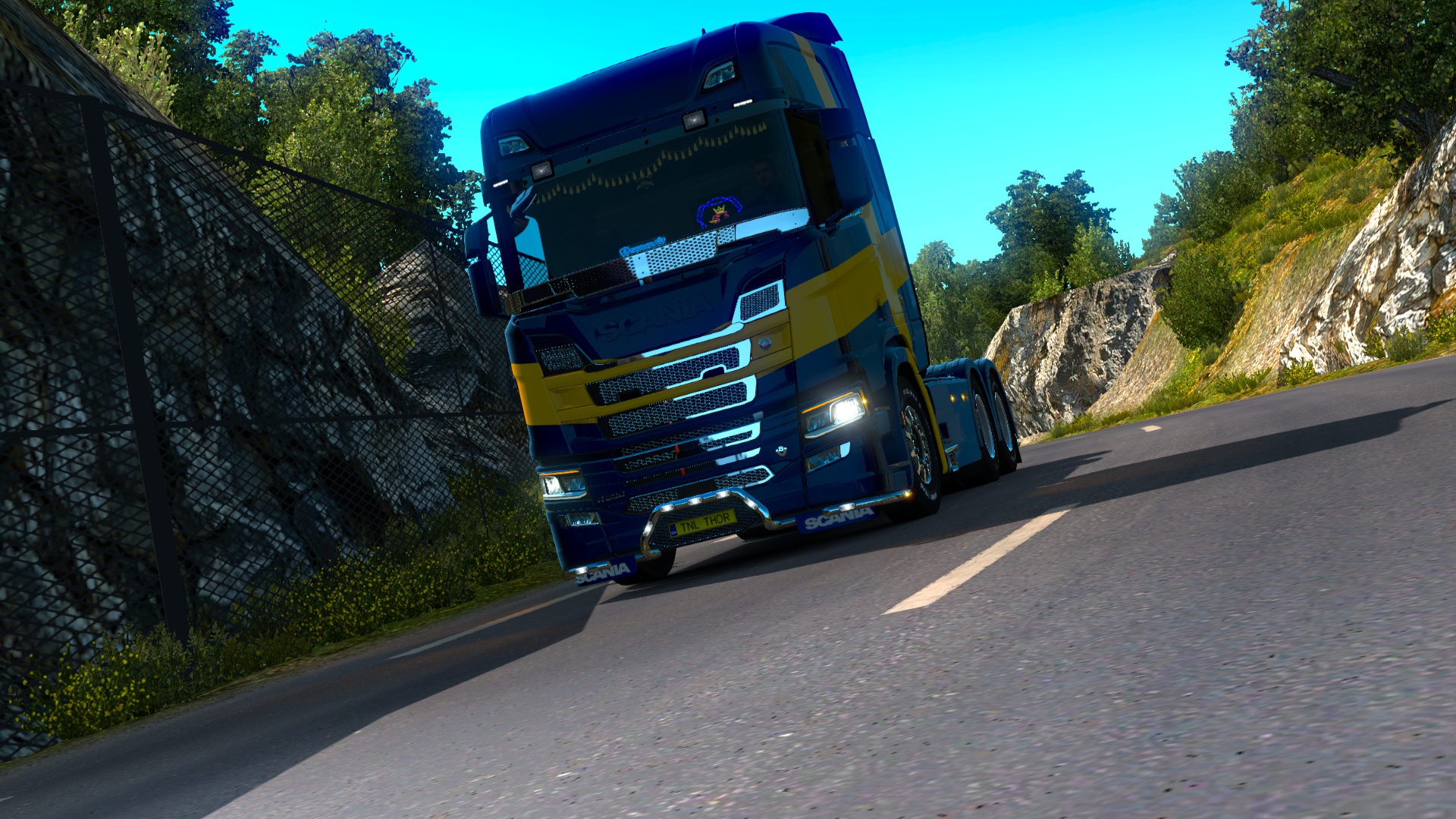 Image by leoputinato1