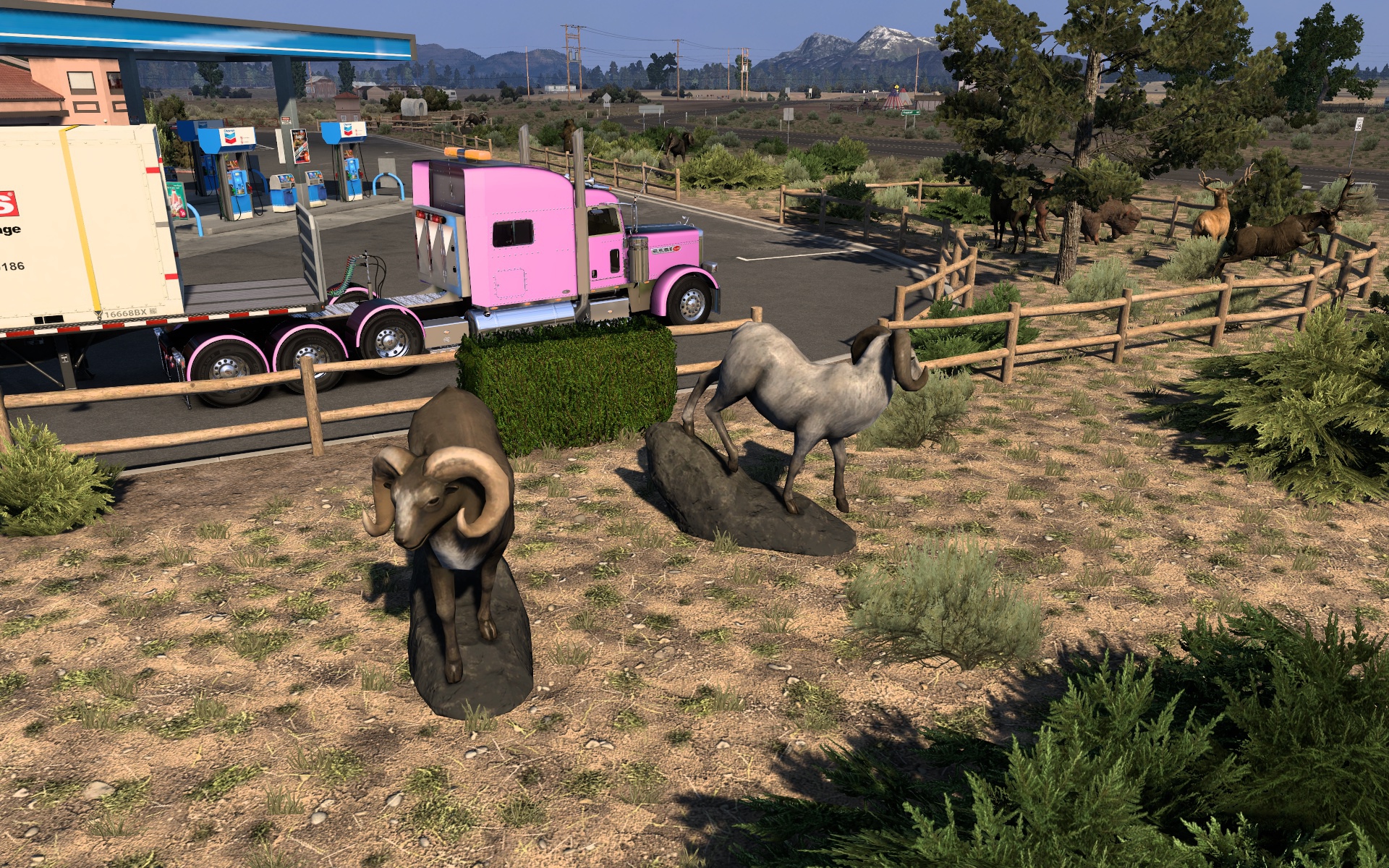 Image by toledomover