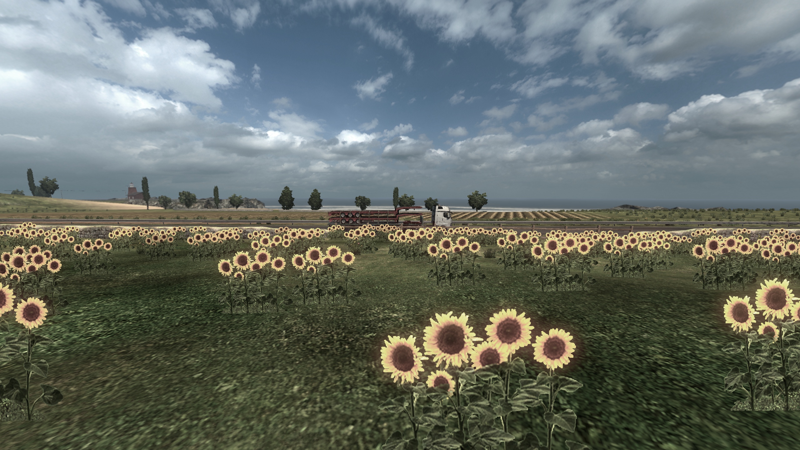 Image by pedigreemall