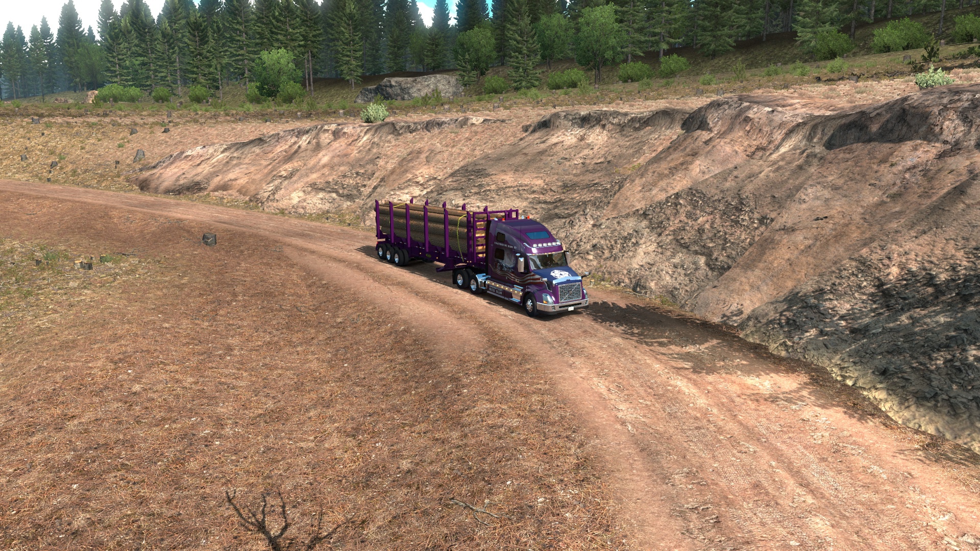 Image by romaborzykh