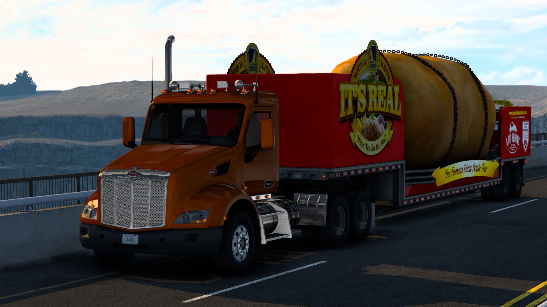 Image by anasalamleh2