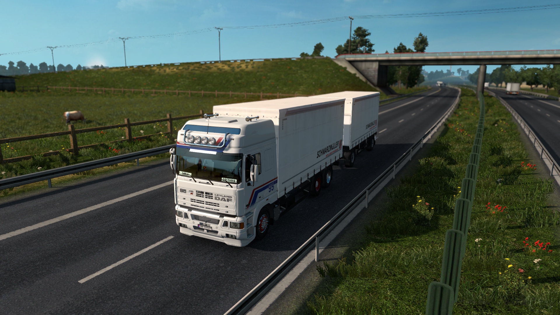 Image by SaeMatsuura