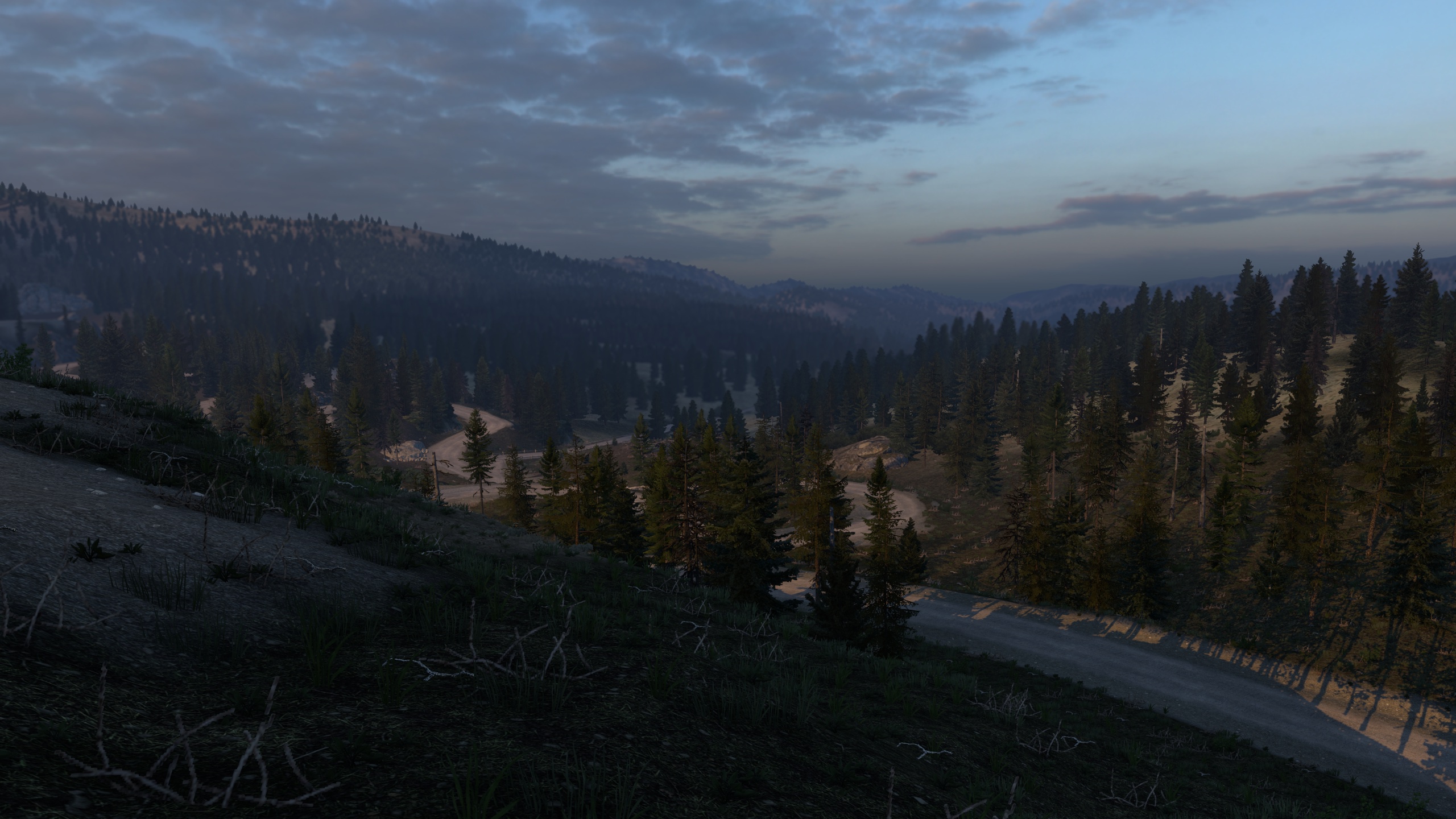 Image by dprohaska54