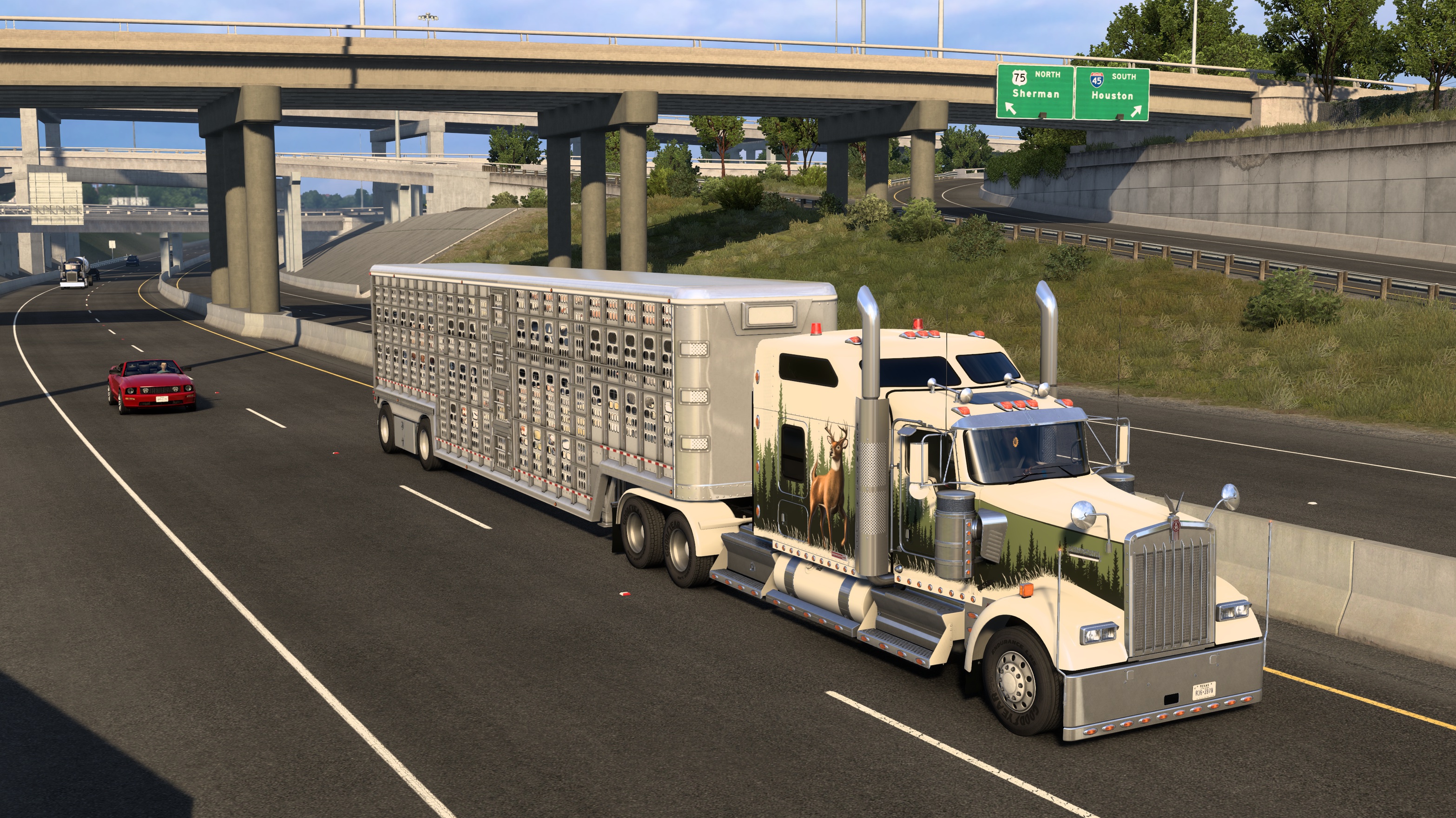 Image by Furaha_Lion