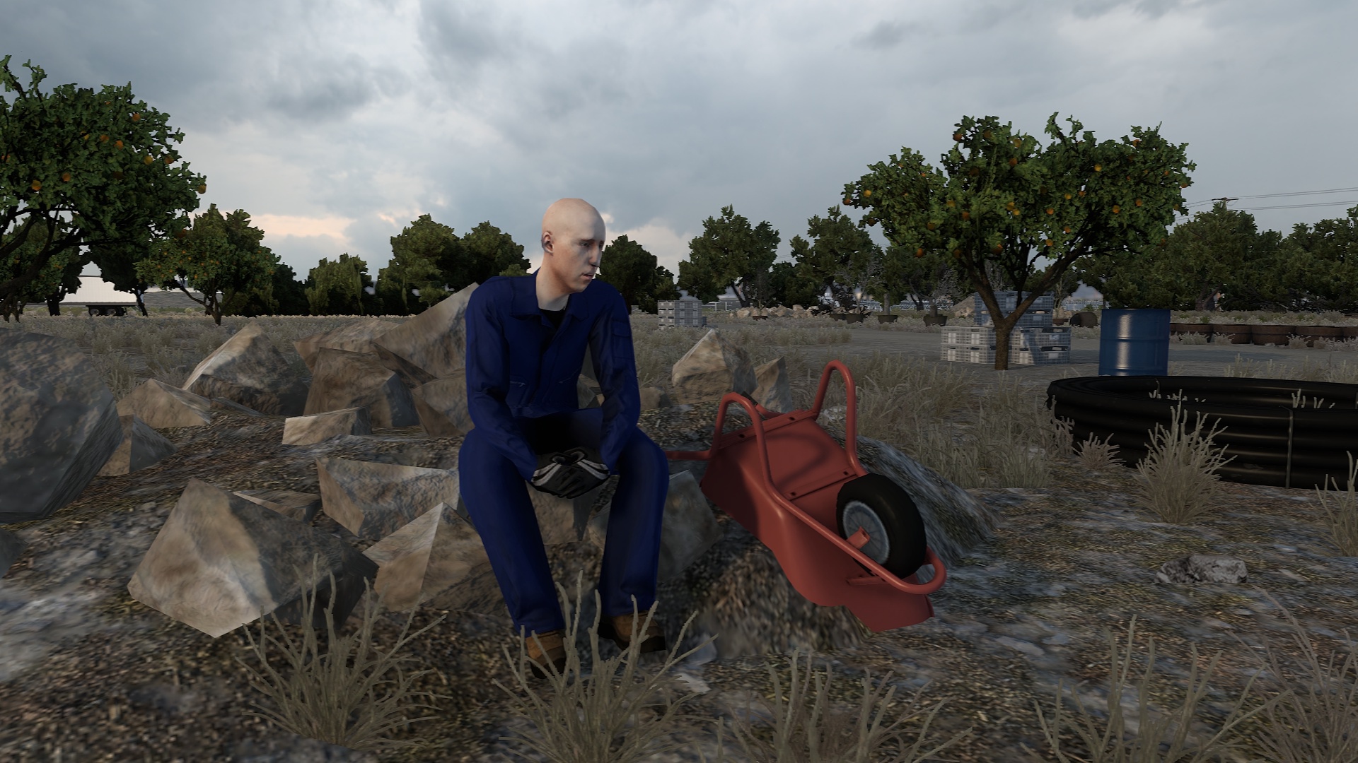 Image by funkyfender