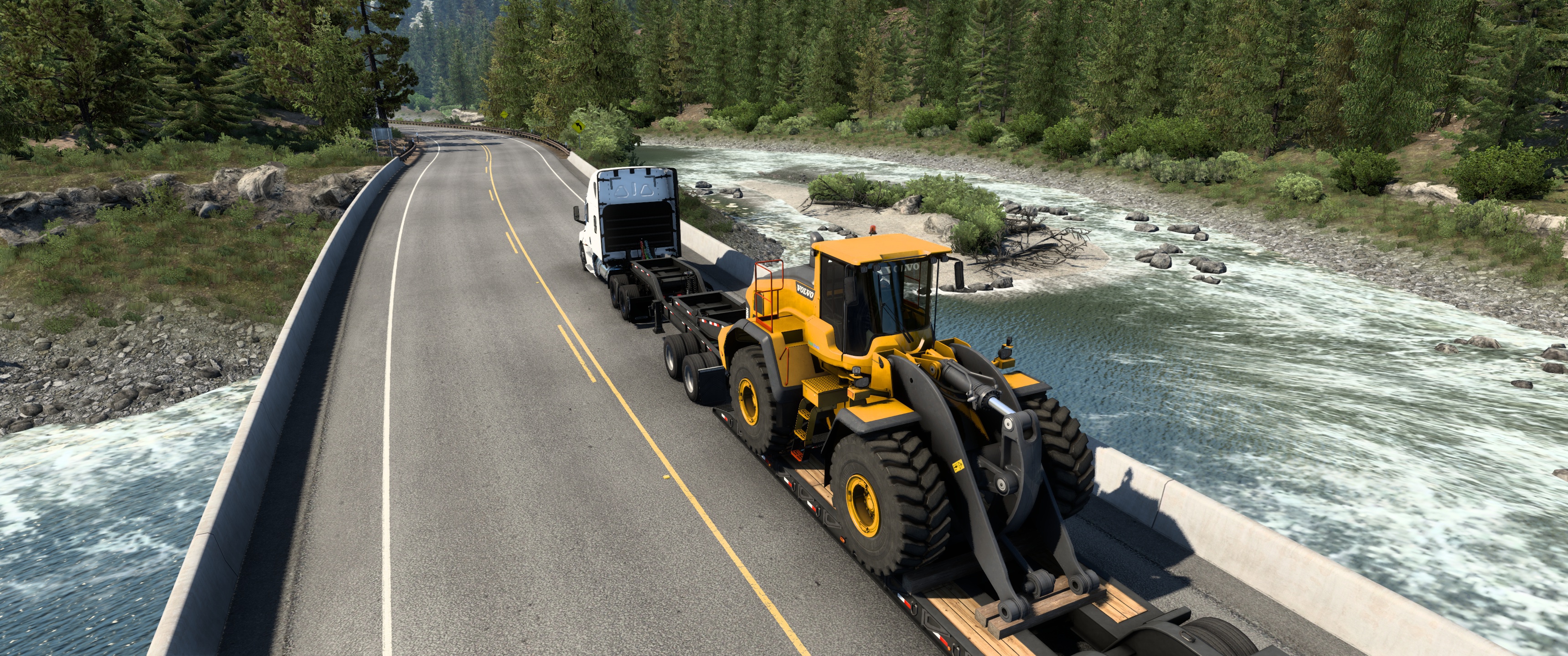 Image by HUGS4SHARKS