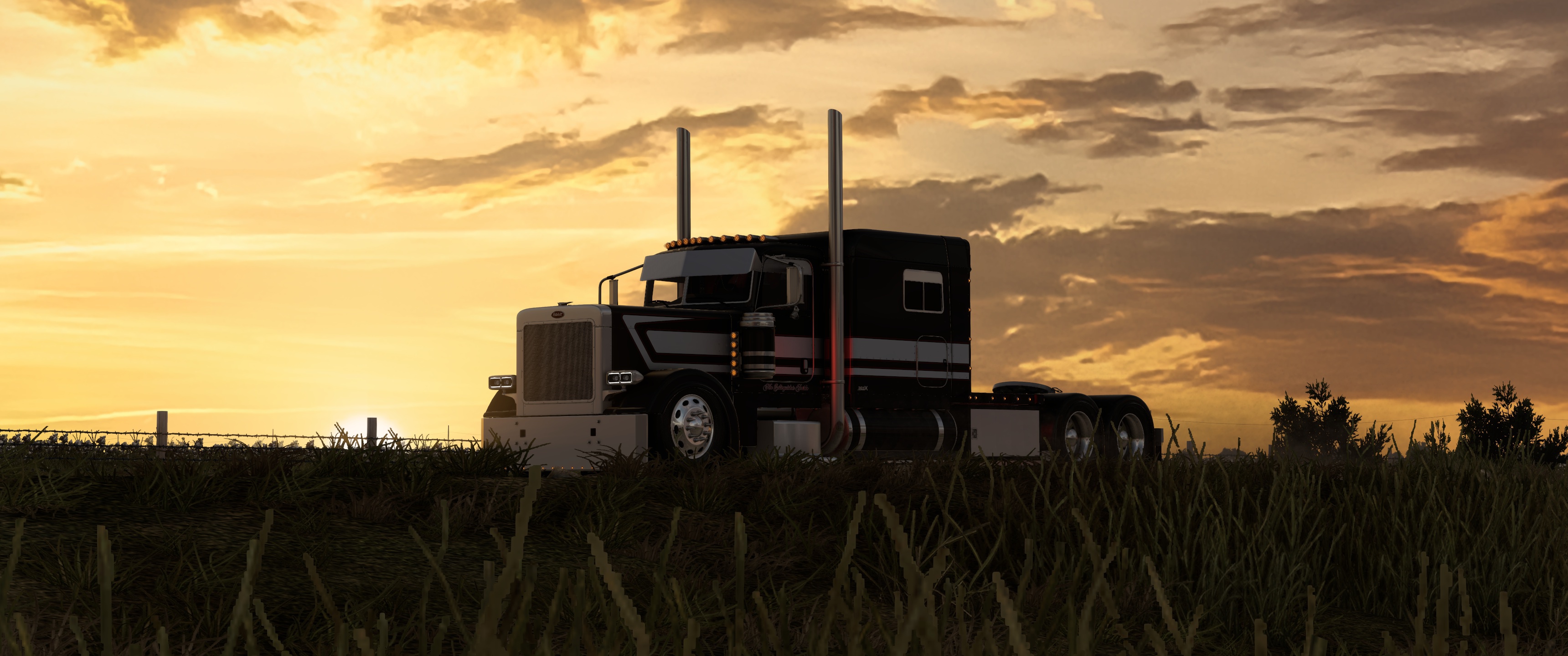 Image by Silver_Bird