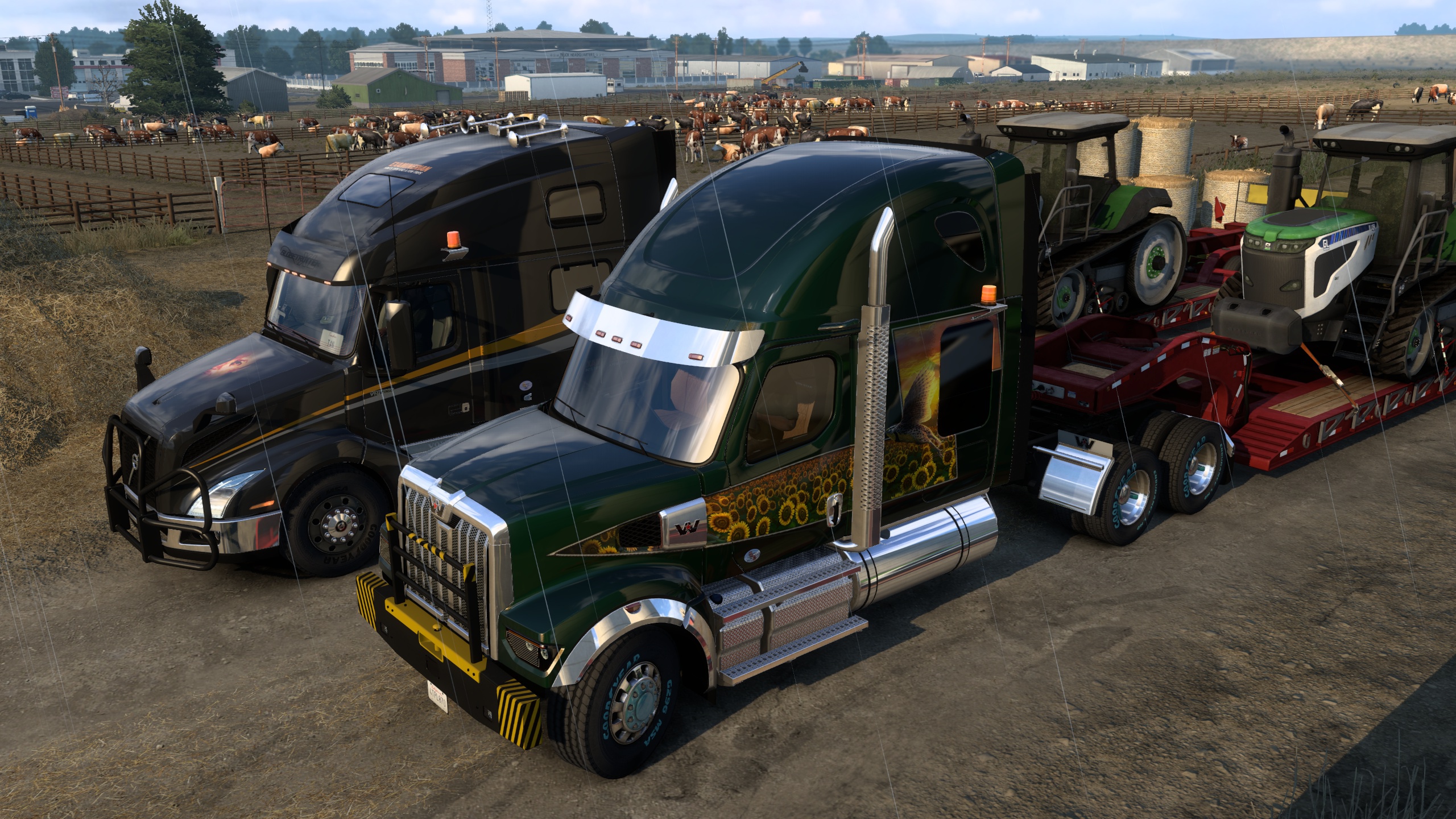 Image by ExaminerIan