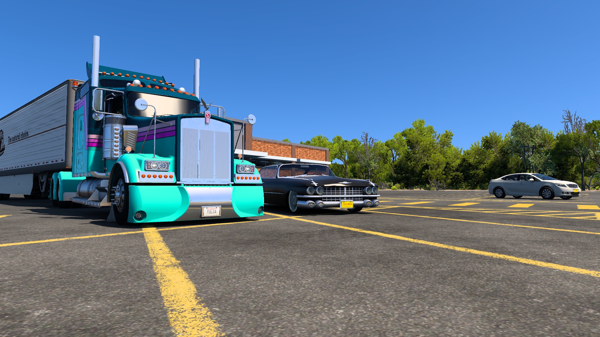 Image by scarfacetolga