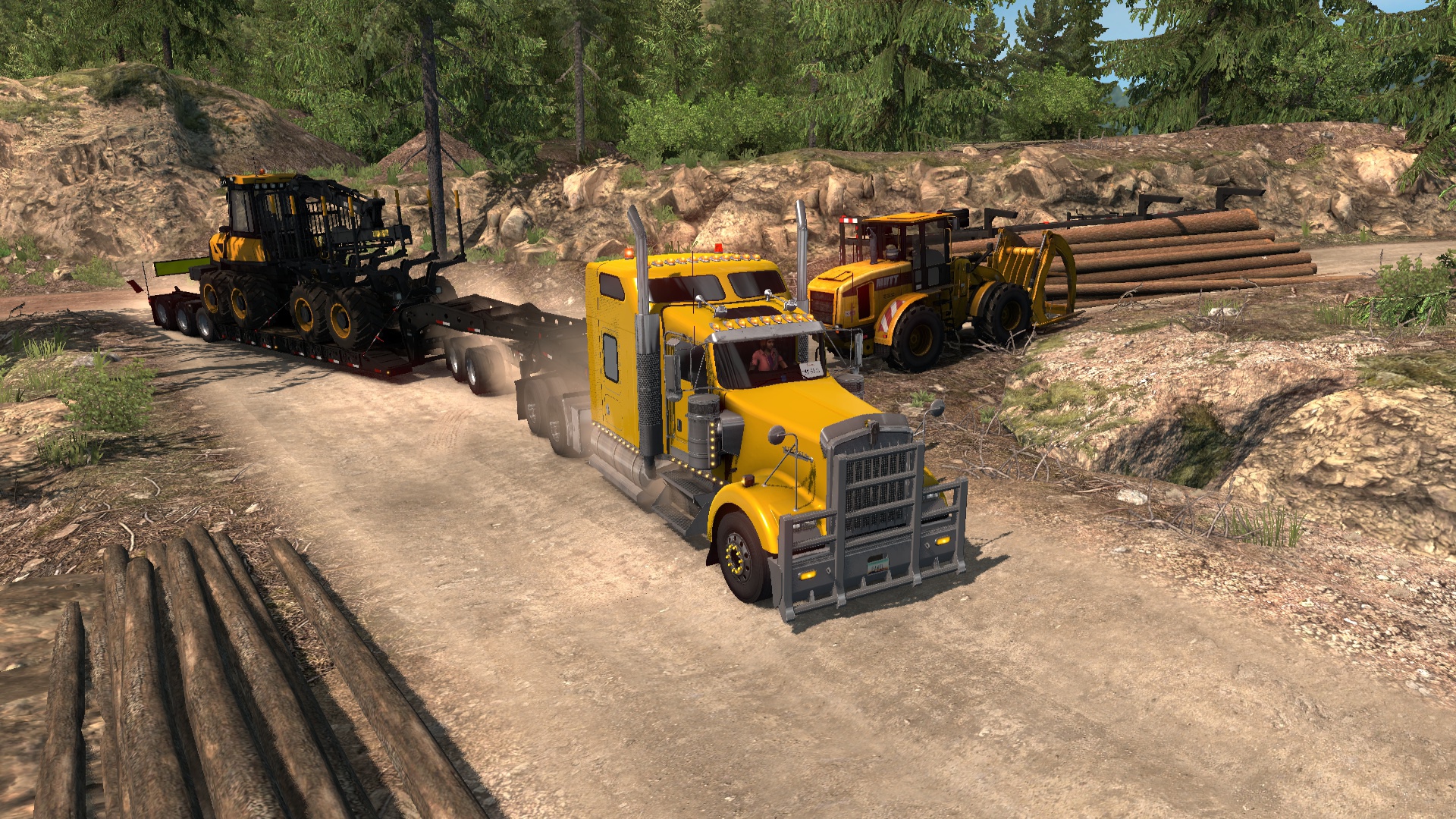 Image by 1234pawel1234