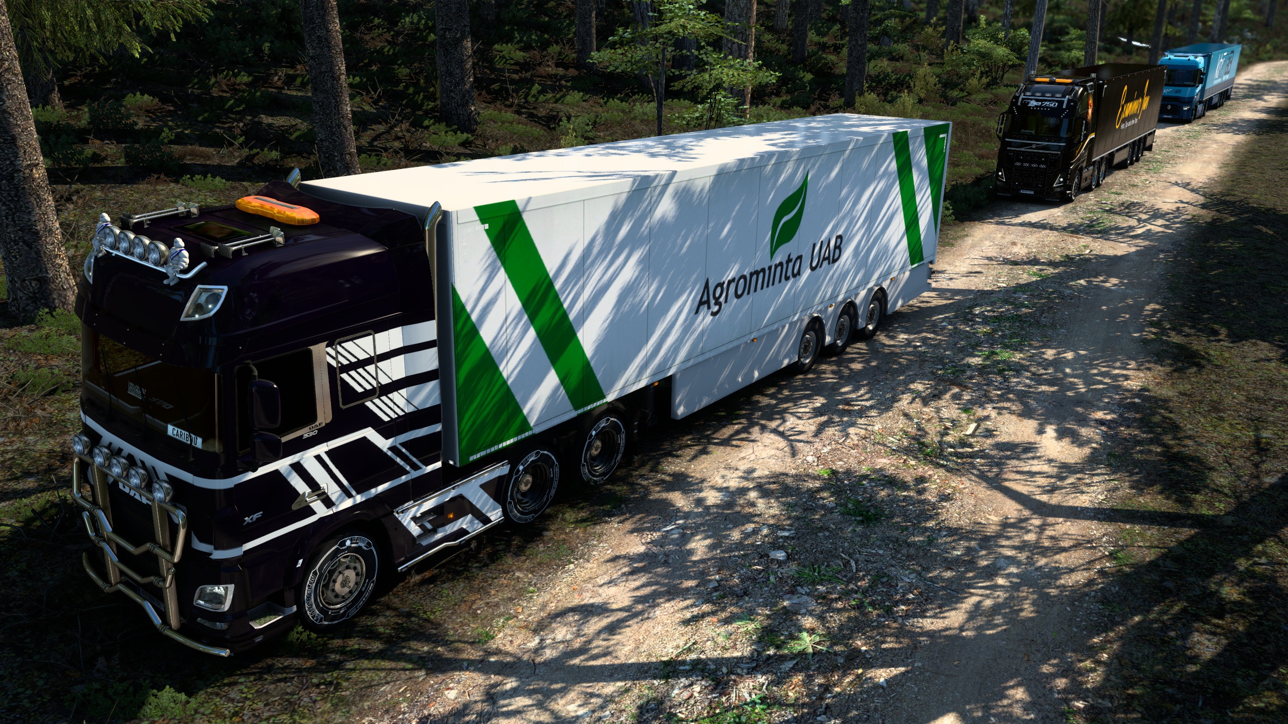 Image by ExaminerIan