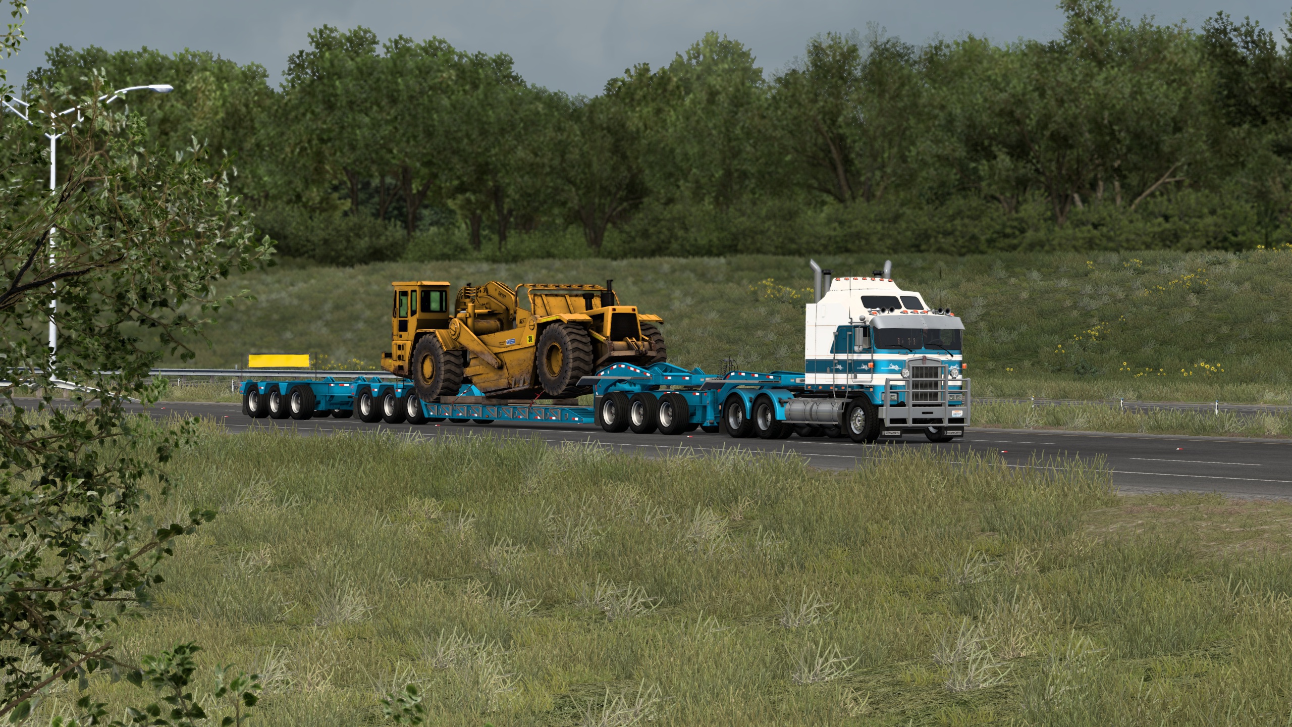 Image by Bearded_Bushman