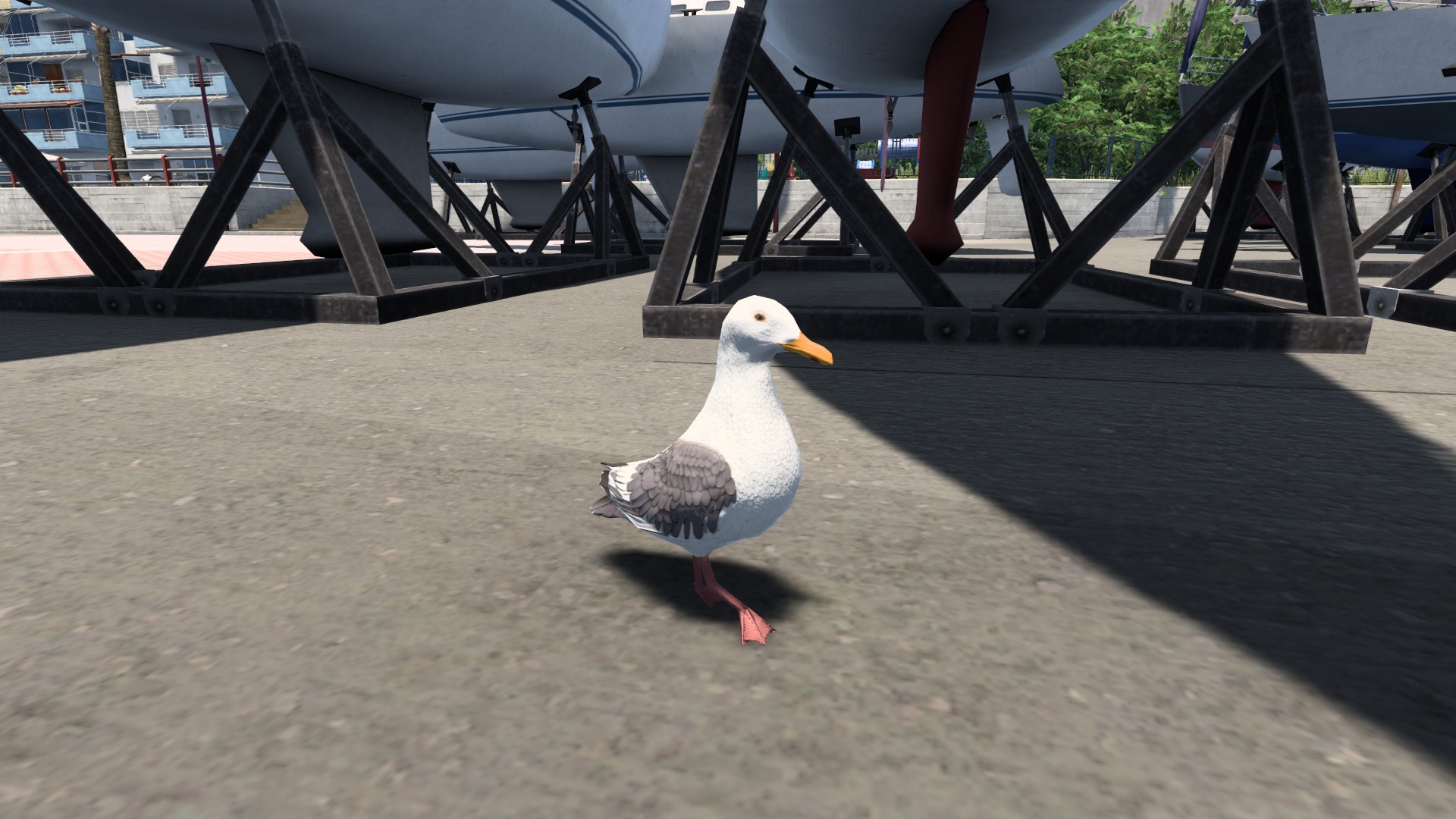 Image by alek2005sand