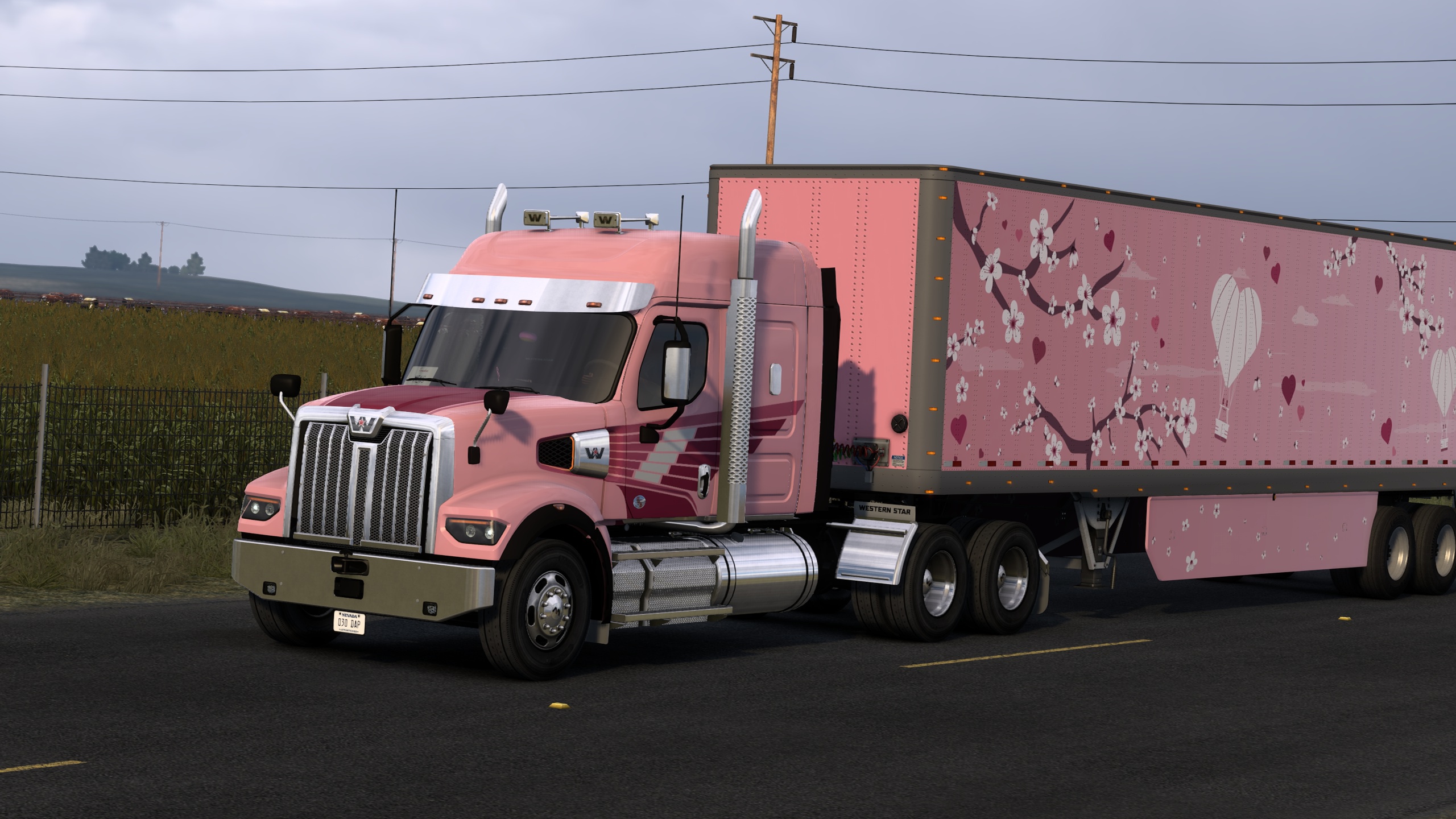 Image by happymorgan28