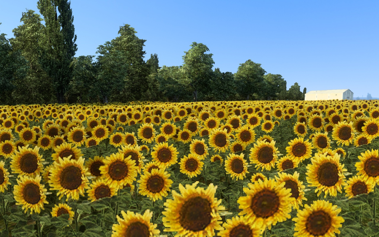 Image by SpaceSphere