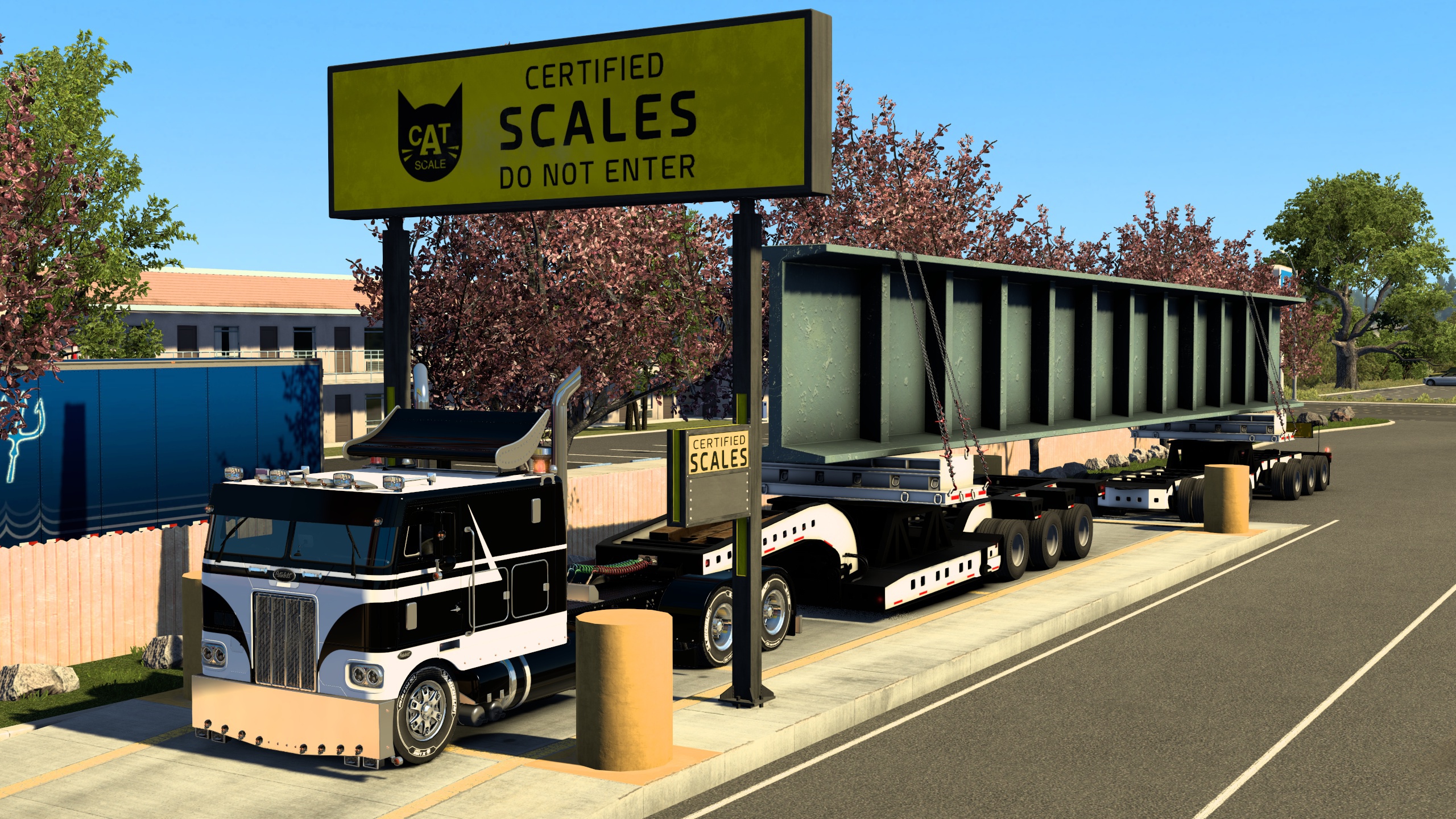 Image by Bearded_Bushman