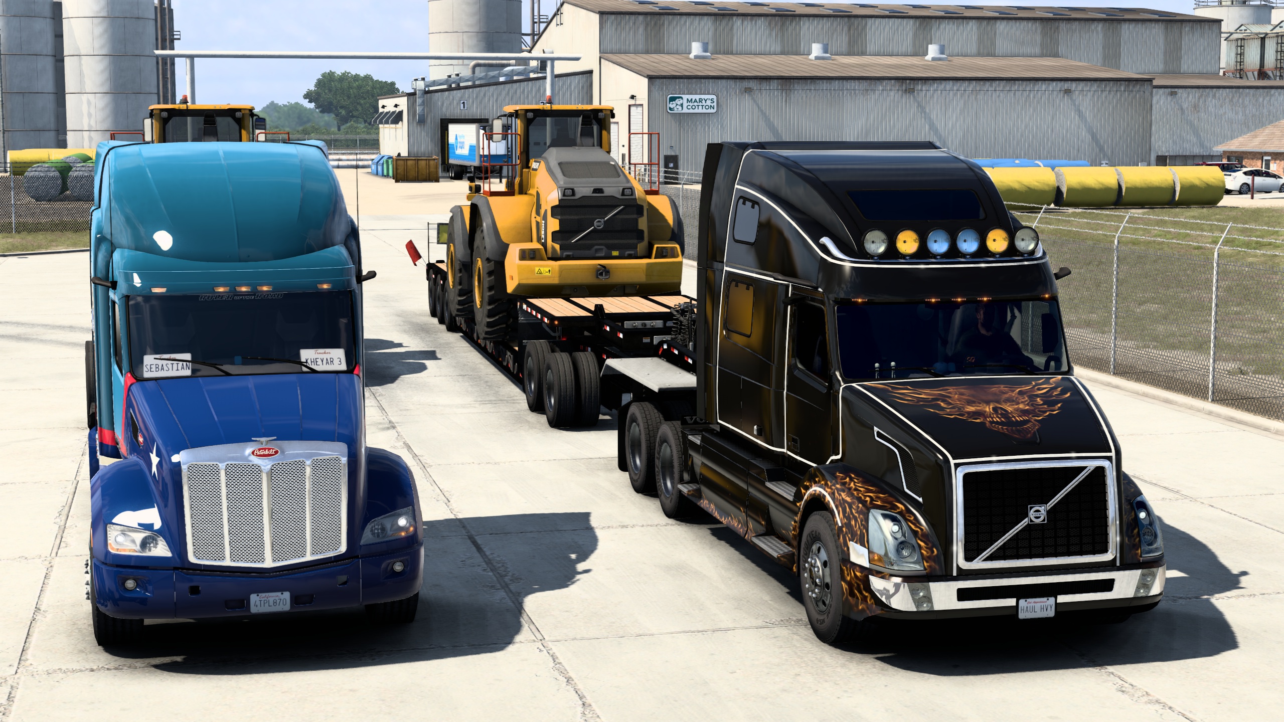 Image by ExaminerIan