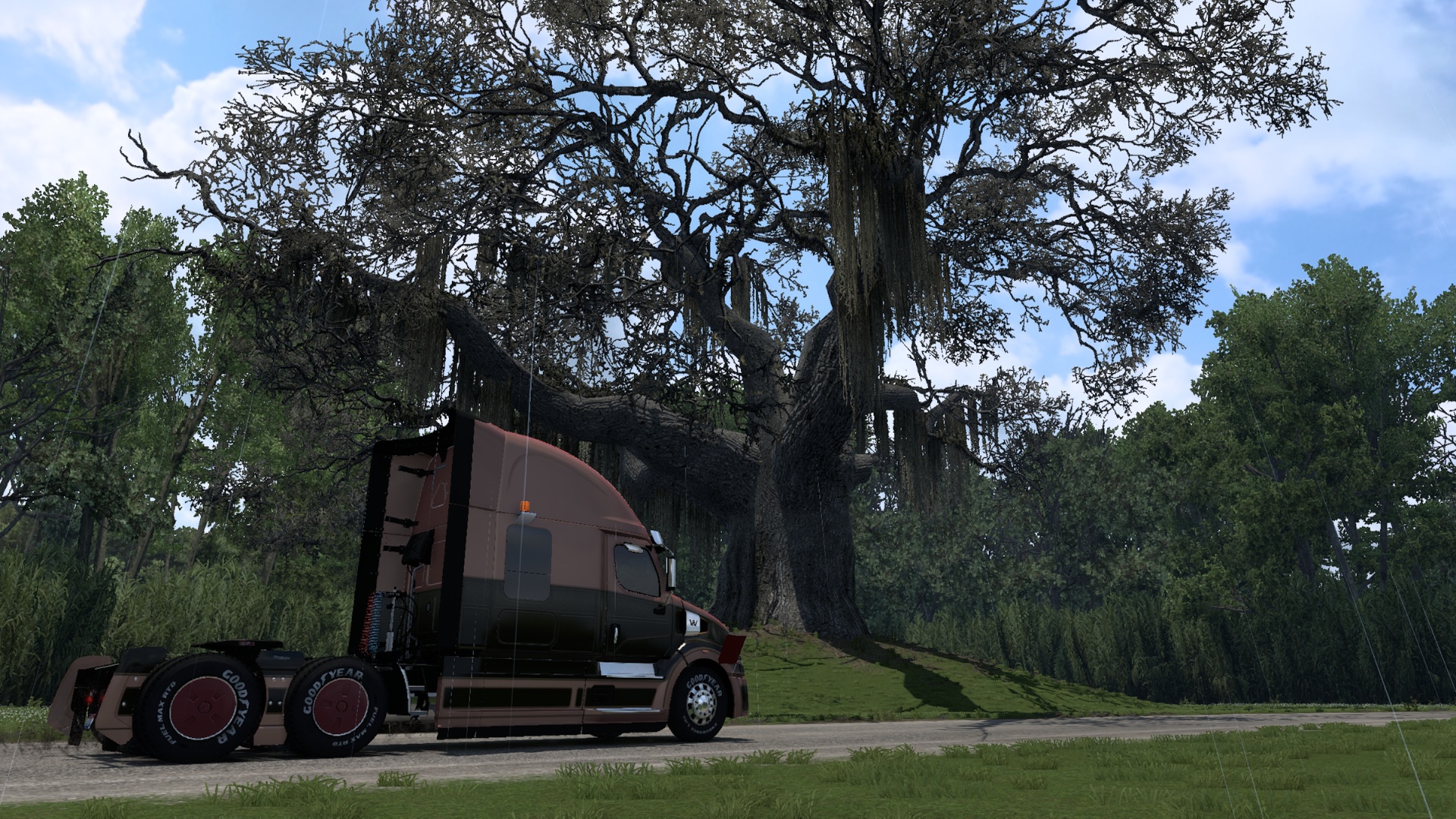 Image by Germinecraft