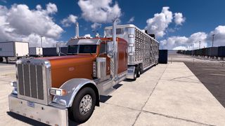 Image by Callejas_3215