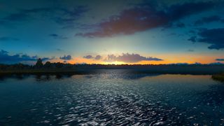 Image by ZooKas
