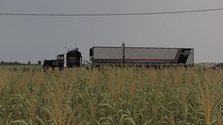 Image by Mopsiu