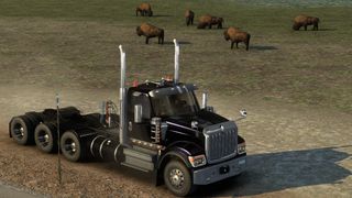 Image by andresbolso11