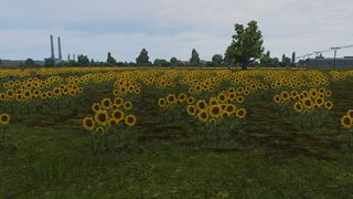 Image by supermurs