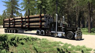 Image by Bearded_Bushman