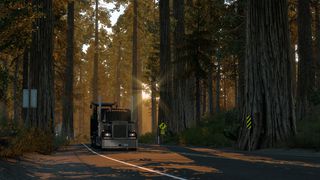 Image by ercangundogdu1