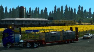 Image by ExaminerIan