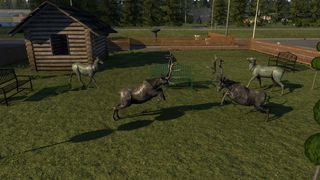 Image by Julius_der_111