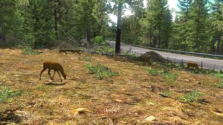 Image by Grzegorz_5703