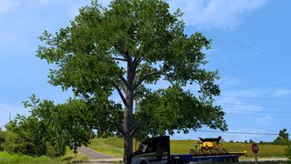 Image by Danielski123